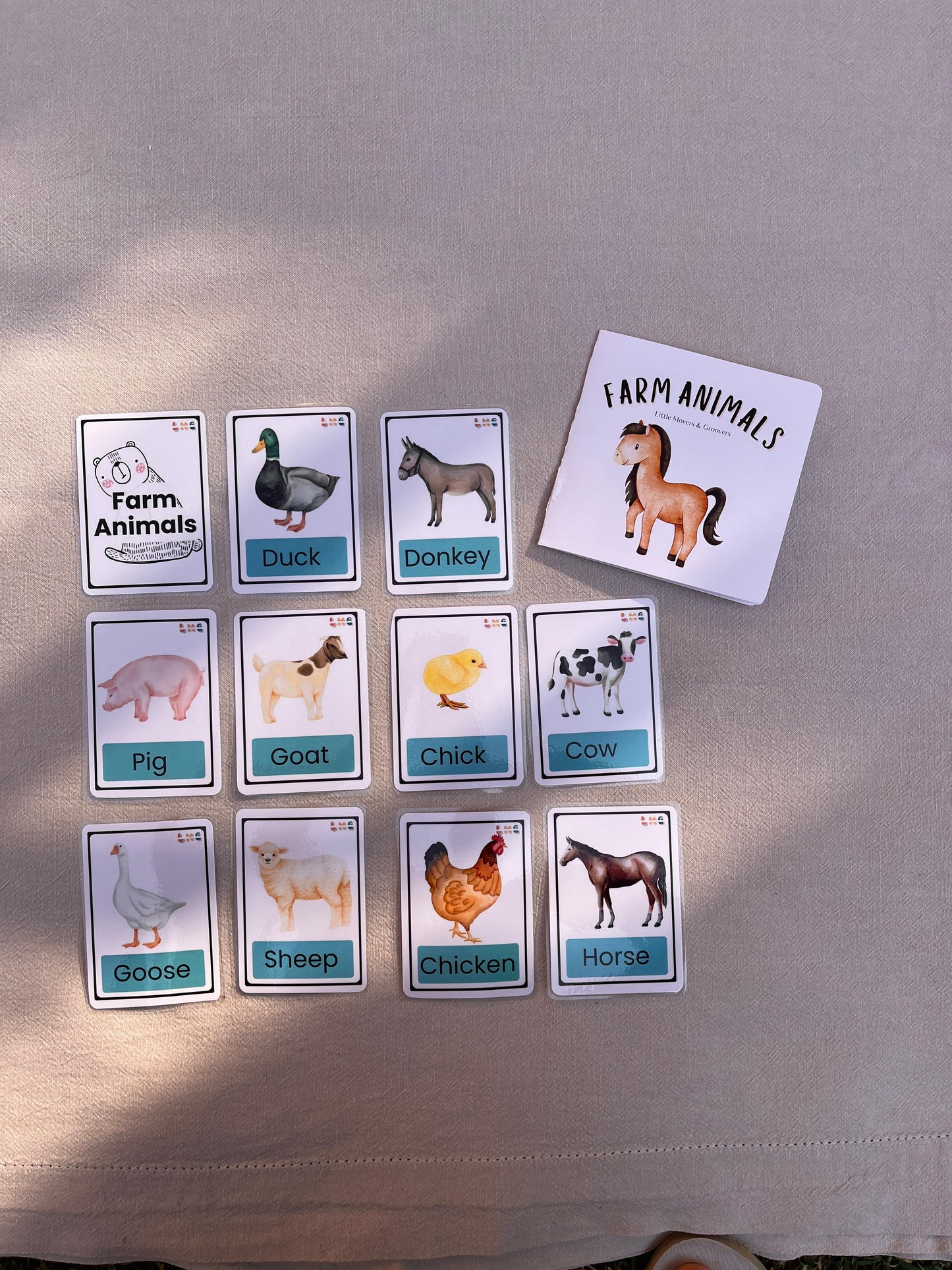 Book & Flashcard Bundle