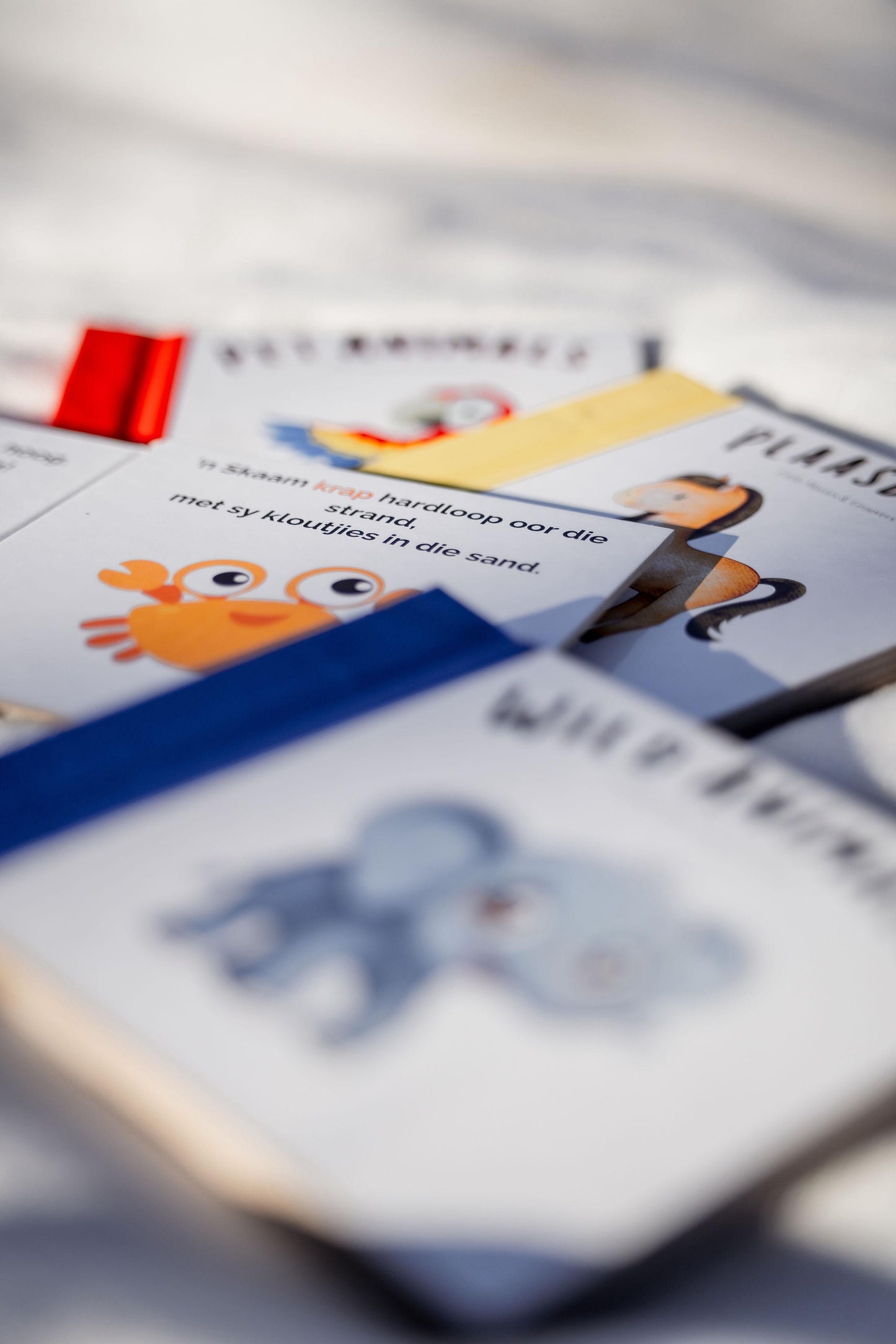 Book & Flashcard Bundle