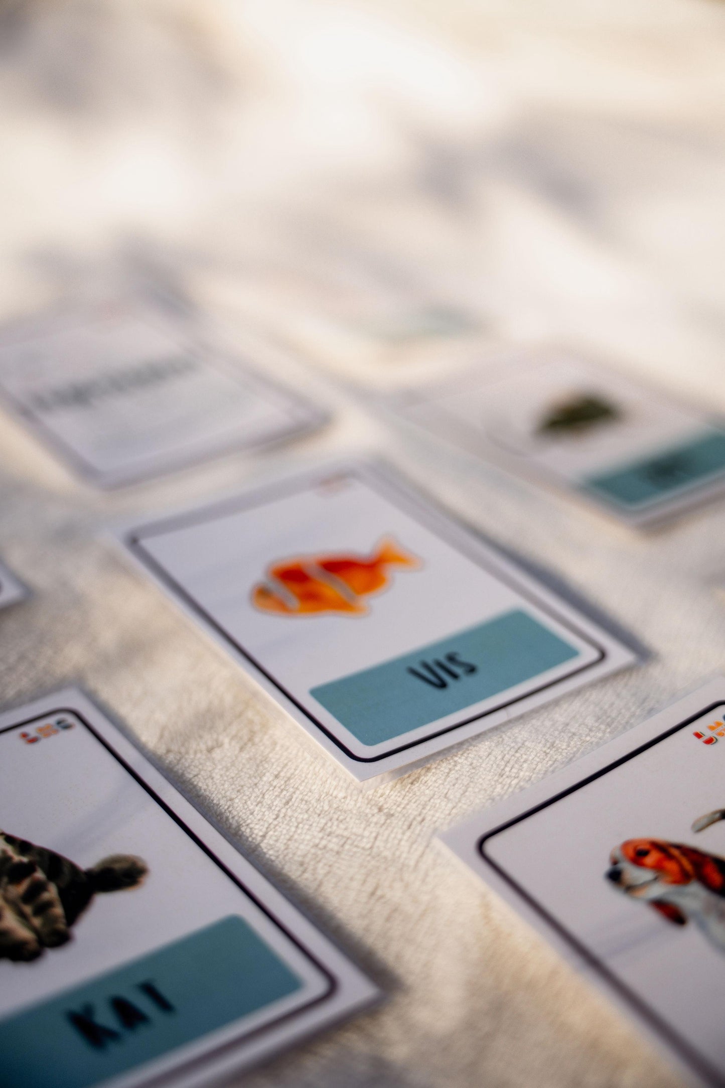 2-3 Years (Theme: Animals)